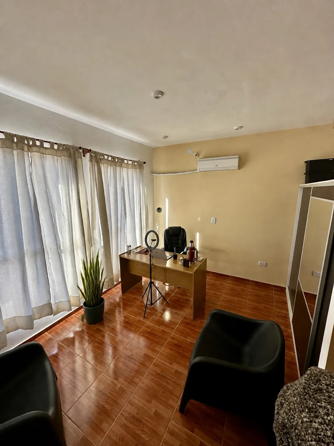 Vista amplia del consultorio de Leandro Rivero en San Martín, con una sansevieria junto a la ventana